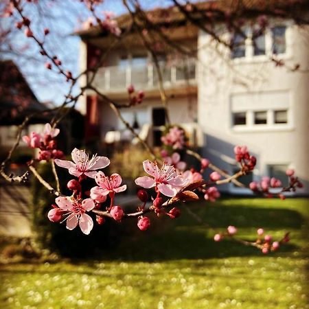 Ferienwohnung Im Aalbachtal - Uettingen Bei Wuerzburg 外观 照片