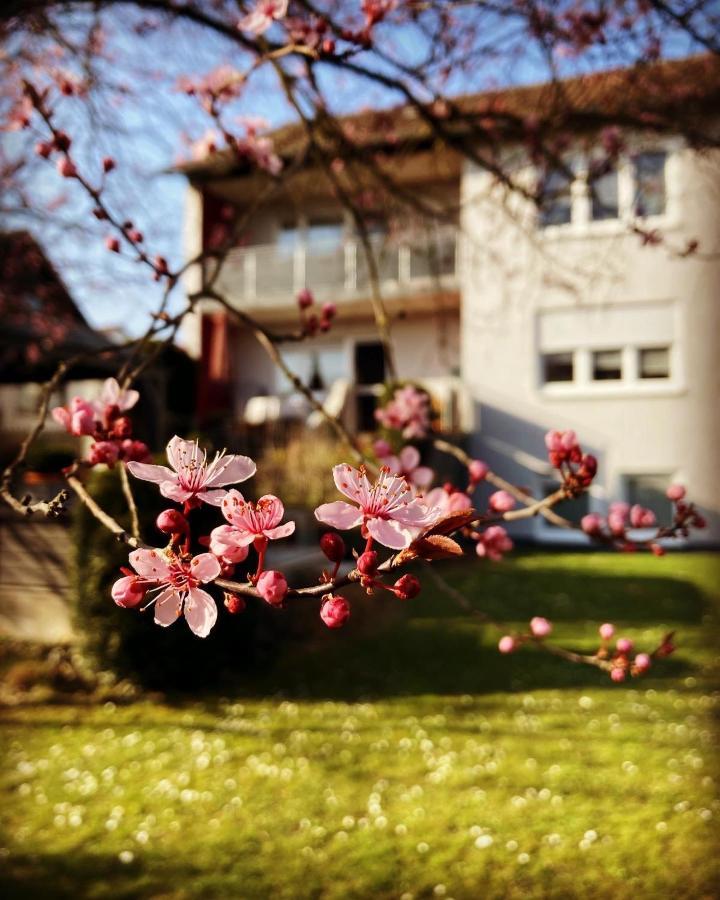 Ferienwohnung Im Aalbachtal - Uettingen Bei Wuerzburg 外观 照片